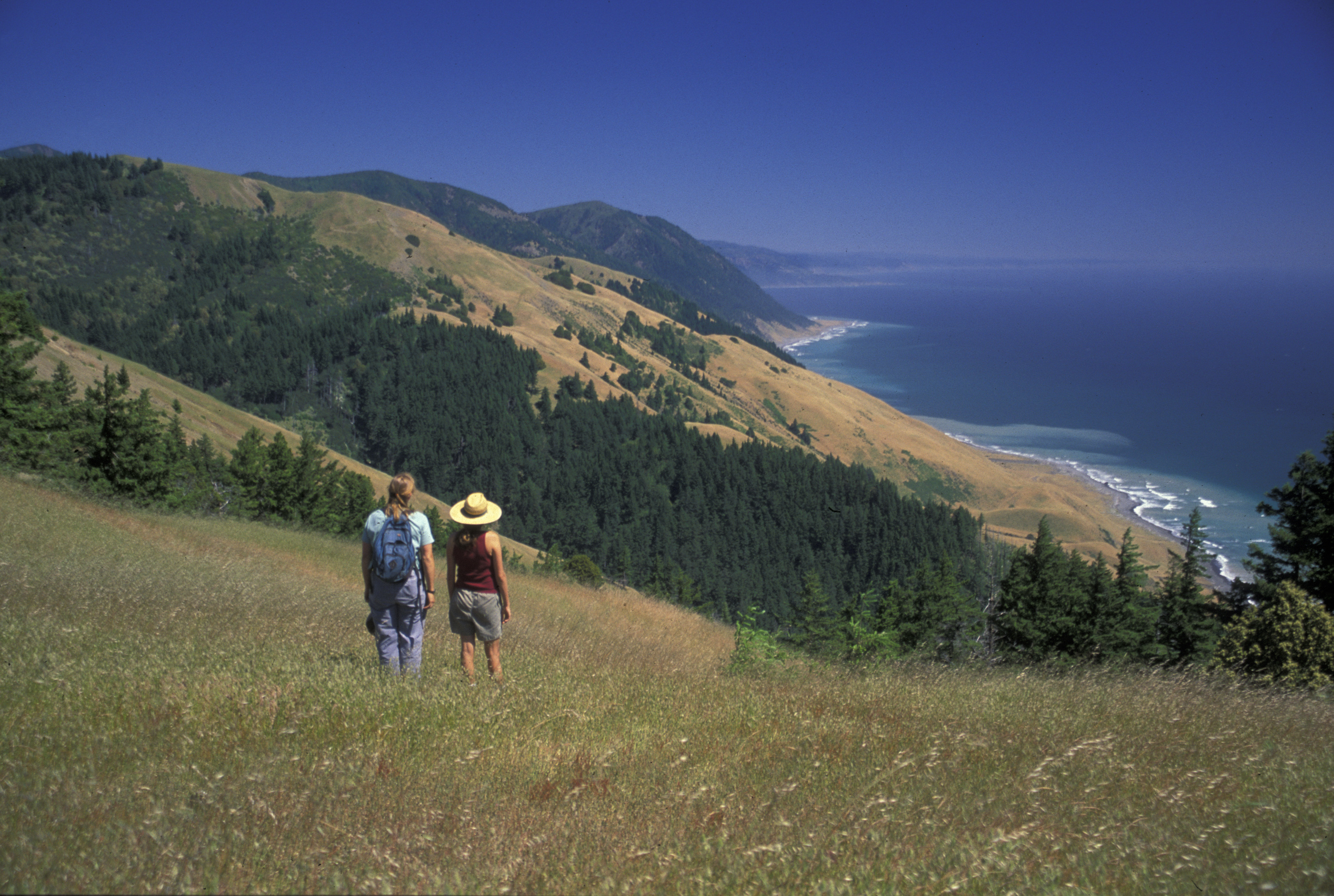 Ocean view from the King Range National Conservation Area California